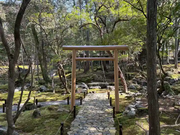 西芳寺の{uncategorized: "未分類", other: "その他", undefined: "問題あり", building: "その他建物", grave: "お墓", sacred_gate: "鳥居", guardian: "狛犬", statue: "像", buddha: "仏像", history: "歴史", nature: "自然", garden: "庭園", animal: "動物", pagoda: "塔", temizu: "手水舎", mountain_gate: "山門・神門", sanctuary: "本殿・本堂", subordinate: "末社・摂社", art: "芸術", scenery: "景色", jizo: "地蔵", ema: "絵馬", goshuin: "御朱印", omikuji: "おみくじ", items: "授与品その他", amulet: "お守り", goshuincho: "御朱印帳", eats: "食事", festival: "お祭り", votive_dance: "神楽", shichigosan: "七五三参", wedding: "結婚式", experience: "体験その他", initially: "初詣", around: "周辺", anti_infection: "感染症対策"}