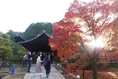 東福禅寺(東福寺)(京都府)