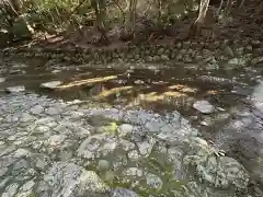 瀧原宮(皇大神宮別宮)(三重県)