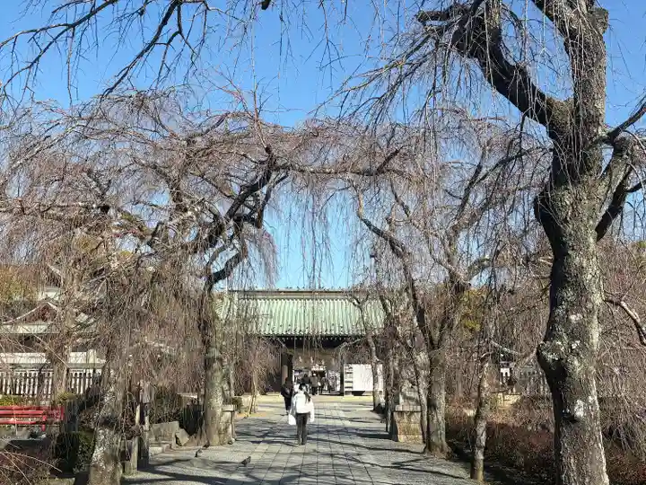 三嶋大社(静岡県)