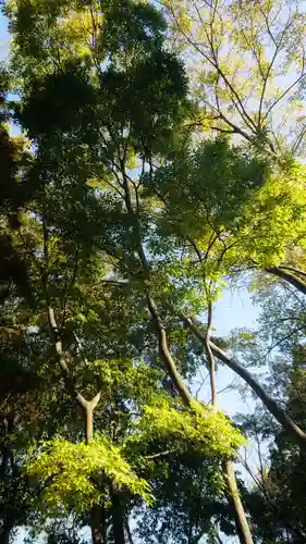 神明社（国府宮神明社）の自然