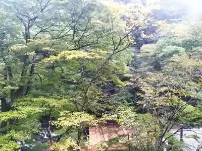 貴船神社(京都府)