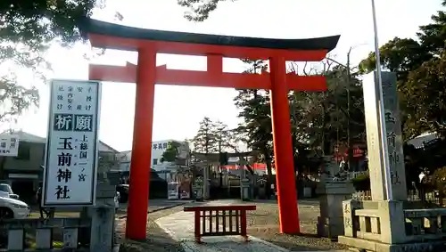 玉前神社の鳥居