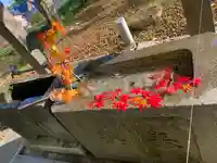 釧路護国神社の手水舎