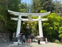 宝登山神社の{uncategorized: "未分類", other: "その他", undefined: "問題あり", building: "その他建物", grave: "お墓", sacred_gate: "鳥居", guardian: "狛犬", statue: "像", buddha: "仏像", history: "歴史", nature: "自然", garden: "庭園", animal: "動物", pagoda: "塔", temizu: "手水舎", mountain_gate: "山門・神門", sanctuary: "本殿・本堂", subordinate: "末社・摂社", art: "芸術", scenery: "景色", jizo: "地蔵", ema: "絵馬", goshuin: "御朱印", omikuji: "おみくじ", items: "授与品その他", amulet: "お守り", goshuincho: "御朱印帳", eats: "食事", festival: "お祭り", votive_dance: "神楽", shichigosan: "七五三参", wedding: "結婚式", experience: "体験その他", initially: "初詣", around: "周辺", anti_infection: "感染症対策"}