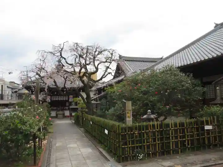 地蔵院(椿寺)の庭園
