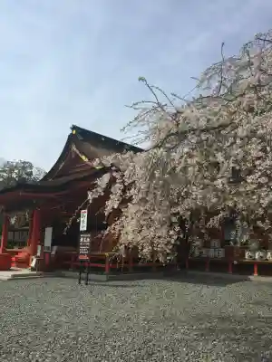 富士山本宮浅間大社(静岡県)