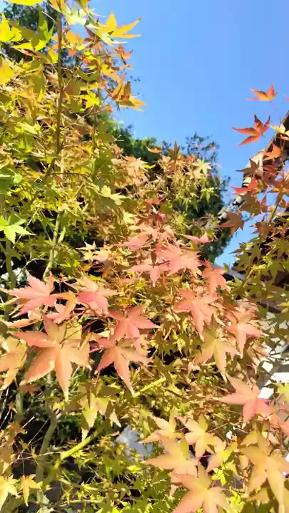 霊源院(京都府)