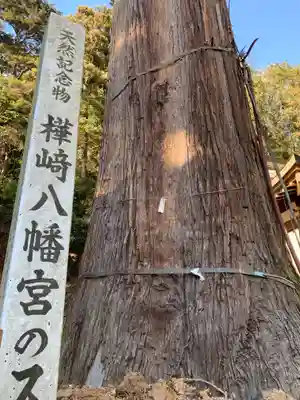 樺崎八幡宮の自然