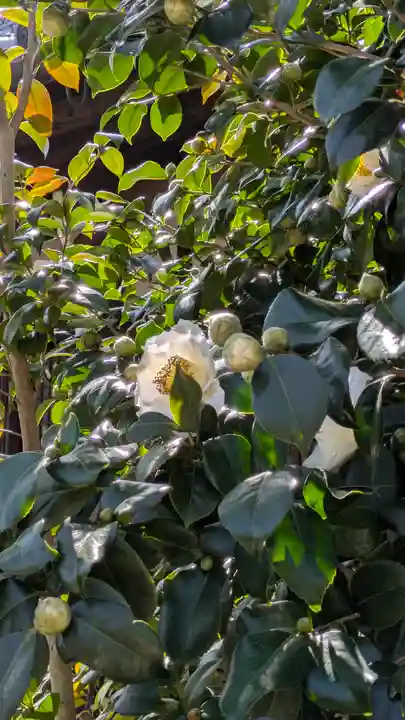 浄安寺(京都府)