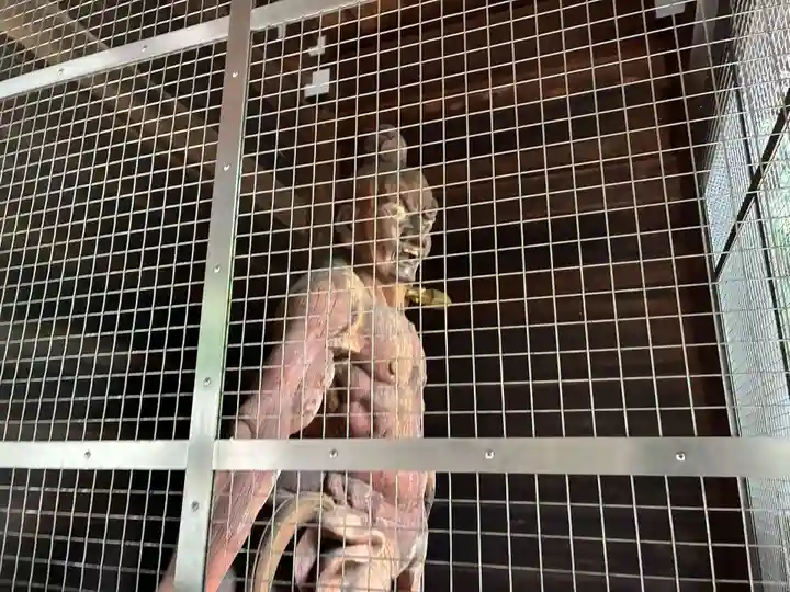 切幡寺(徳島県)