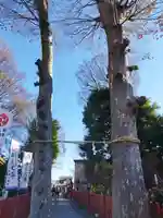 川越八幡宮(埼玉県)