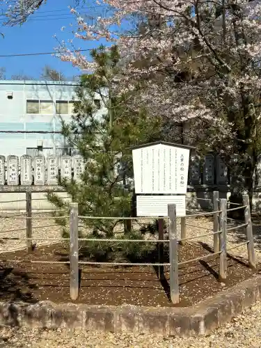 成田山新勝寺(千葉県)