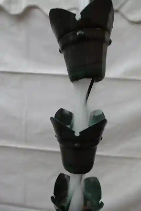 射楯兵主神社の自然