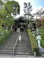 岩殿山安楽寺(吉見観音)(埼玉県)