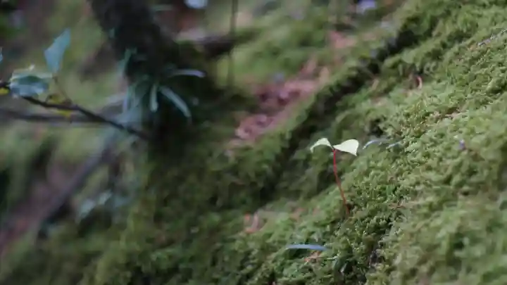 唐招提寺(奈良県)