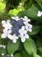 石内のお大師さん 金剛院(広島県)