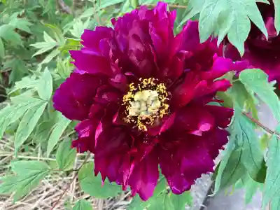 遠照寺(長野県)