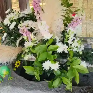 彌彦神社 (伊夜日子神社)(北海道)(2025年06月29日(日) 08時56分07秒投稿)