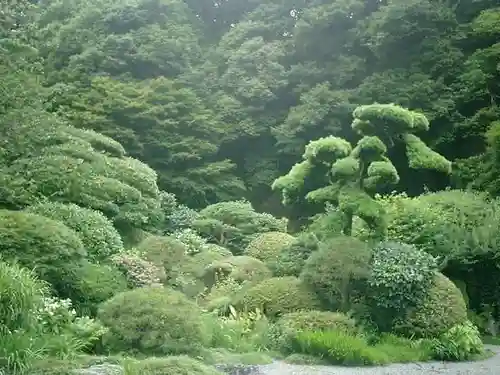 報国寺の庭園