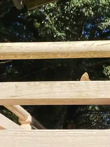 石上布都魂神社(岡山県)