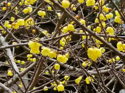 播州清水寺(兵庫県)