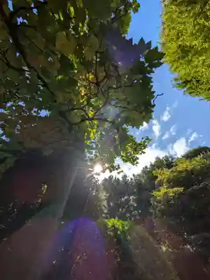 高円寺(東京都)