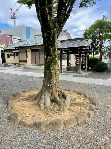 大棚・中川杉山神社(神奈川県)