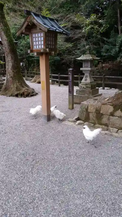 石上神宮の動物