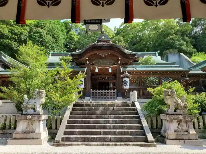 多井畑厄除八幡宮の本殿・本堂