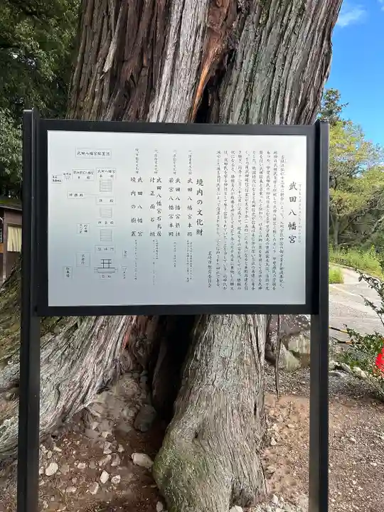 武田八幡宮(山梨県)