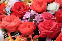 田村神社の手水舎