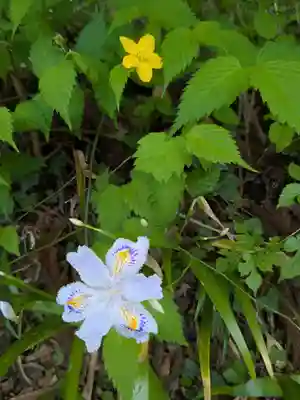 中尊寺(岩手県)