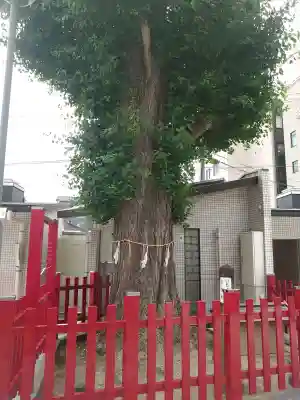 若八幡宮(福岡県)