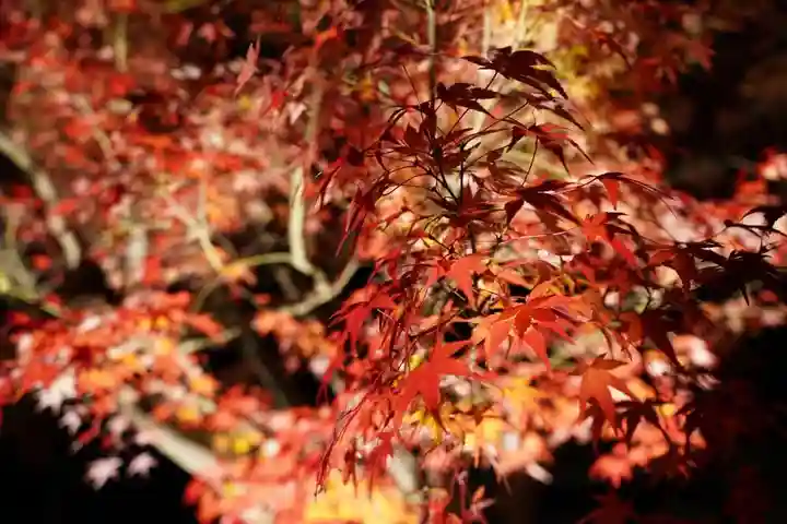 蓮光寺(山口県)