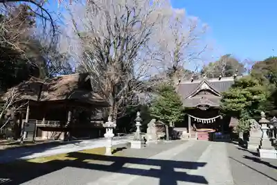 玉敷神社(埼玉県)