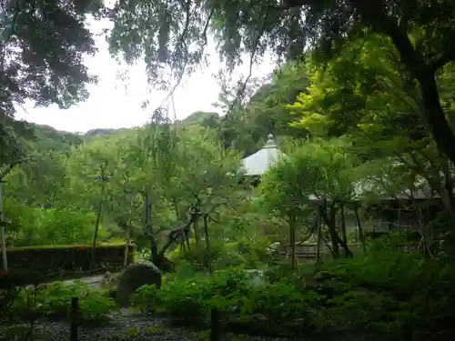 瑞泉寺の庭園