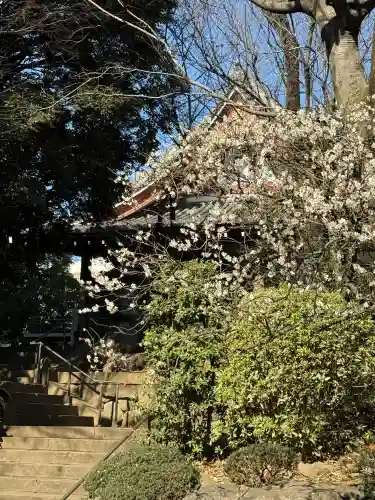長仙寺の{uncategorized: "未分類", other: "その他", undefined: "問題あり", building: "その他建物", grave: "お墓", sacred_gate: "鳥居", guardian: "狛犬", statue: "像", buddha: "仏像", history: "歴史", nature: "自然", garden: "庭園", animal: "動物", pagoda: "塔", temizu: "手水舎", mountain_gate: "山門・神門", sanctuary: "本殿・本堂", subordinate: "末社・摂社", art: "芸術", scenery: "景色", jizo: "地蔵", ema: "絵馬", goshuin: "御朱印", omikuji: "おみくじ", items: "授与品その他", amulet: "お守り", goshuincho: "御朱印帳", eats: "食事", festival: "お祭り", votive_dance: "神楽", shichigosan: "七五三参", wedding: "結婚式", experience: "体験その他", initially: "初詣", around: "周辺", anti_infection: "感染症対策"}