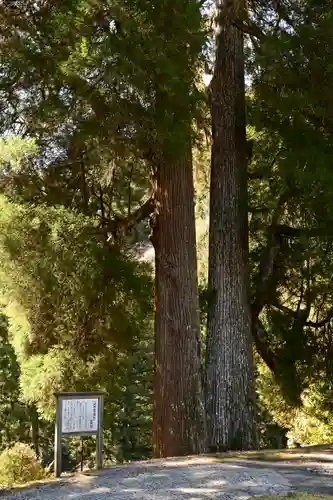 河内白王神社(高知県)