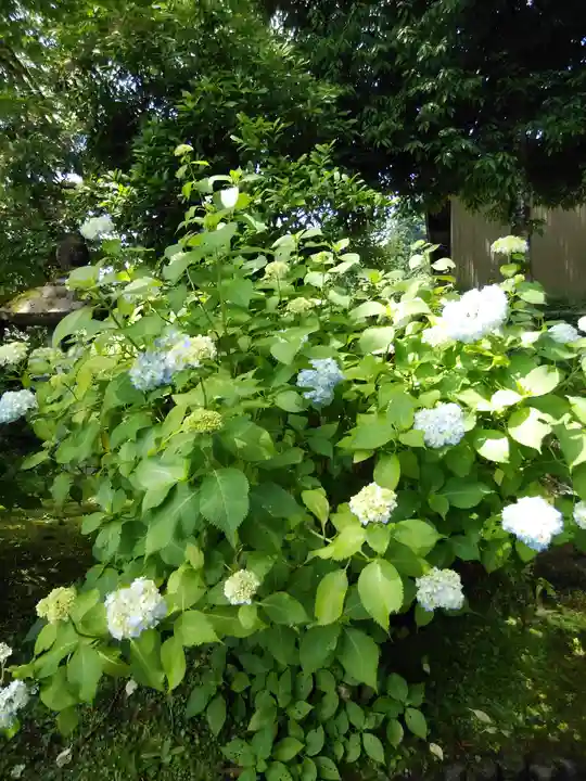 大山祇神社(福島県)