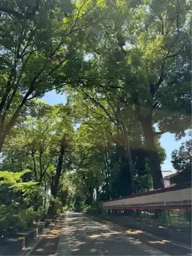 武蔵一宮氷川神社(埼玉県)