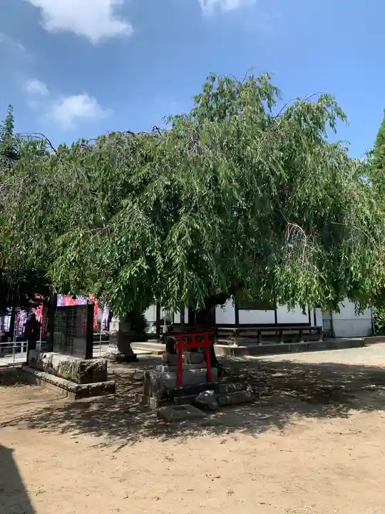 天沼稲荷神社(群馬県)