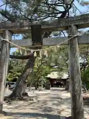 篠山神社の鳥居
