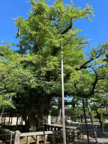 誕生寺(岡山県)