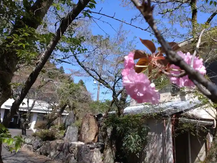 天鷹神社(岐阜県)