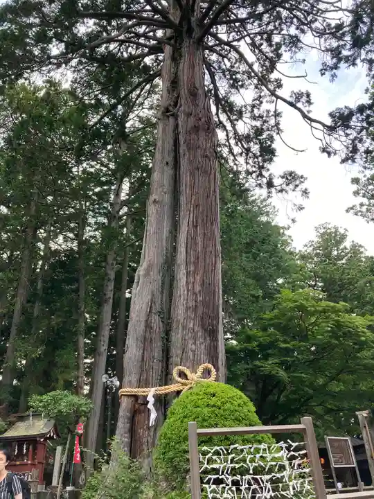 北口本宮冨士浅間神社の自然