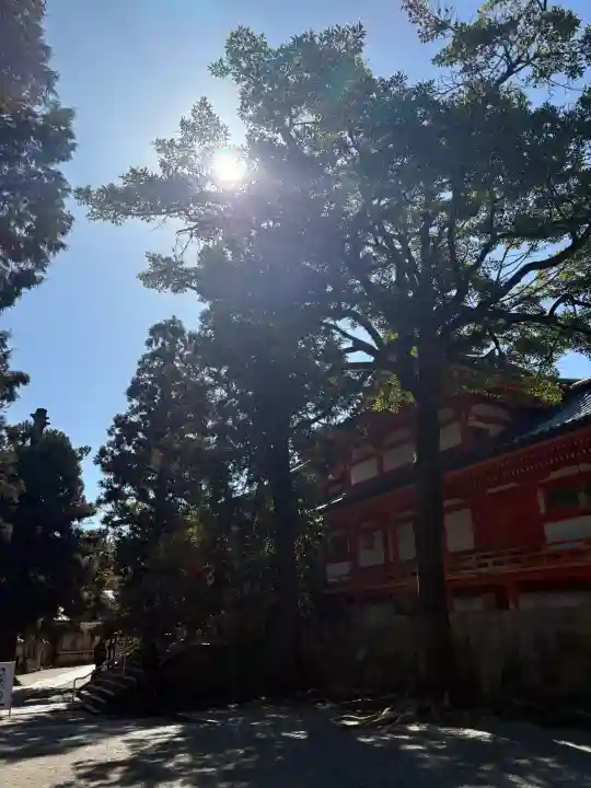 石清水八幡宮の{uncategorized: "未分類", other: "その他", undefined: "問題あり", building: "その他建物", grave: "お墓", sacred_gate: "鳥居", guardian: "狛犬", statue: "像", buddha: "仏像", history: "歴史", nature: "自然", garden: "庭園", animal: "動物", pagoda: "塔", temizu: "手水舎", mountain_gate: "山門・神門", sanctuary: "本殿・本堂", subordinate: "末社・摂社", art: "芸術", scenery: "景色", jizo: "地蔵", ema: "絵馬", goshuin: "御朱印", omikuji: "おみくじ", items: "授与品その他", amulet: "お守り", goshuincho: "御朱印帳", eats: "食事", festival: "お祭り", votive_dance: "神楽", shichigosan: "七五三参", wedding: "結婚式", experience: "体験その他", initially: "初詣", around: "周辺", anti_infection: "感染症対策"}