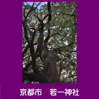 若一神社の自然