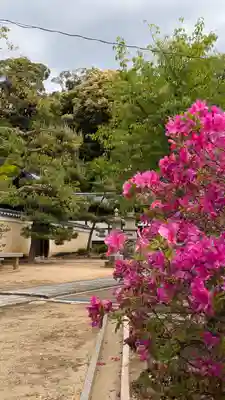 寳塔寺（宝塔寺）(京都府)