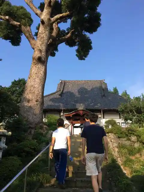 高福寺の建物その他